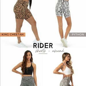 ISO ANYTHING KINGDOM COLLECTION